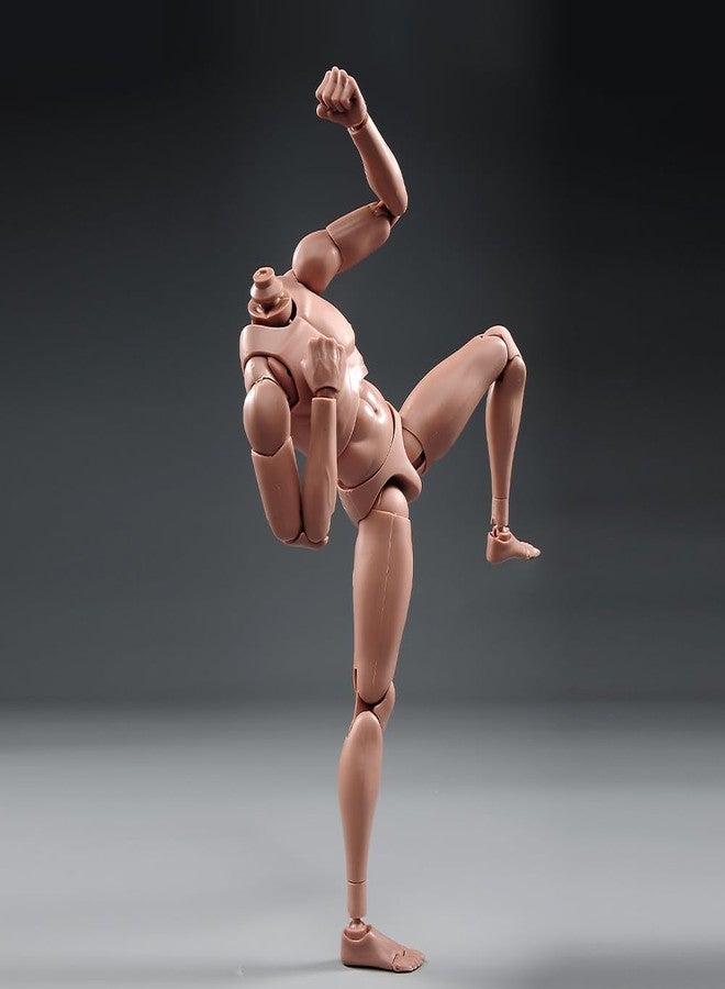 RoofWorld 1:6 Scale Nude Male Figure Body, Europe/Asian Skin Muscular Body Model Man Action Figure Fit 12Inch Doll Without Head Sculpt for Head with Neck (MX02-A) - Image 4